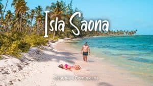 Punta Cana: Saona Island Day Trip with Tickets and Lunch - Photo 4 (Gallery view)