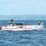 From Punta Cana: Samana Day Trip - Photo 2 (Gallery view)