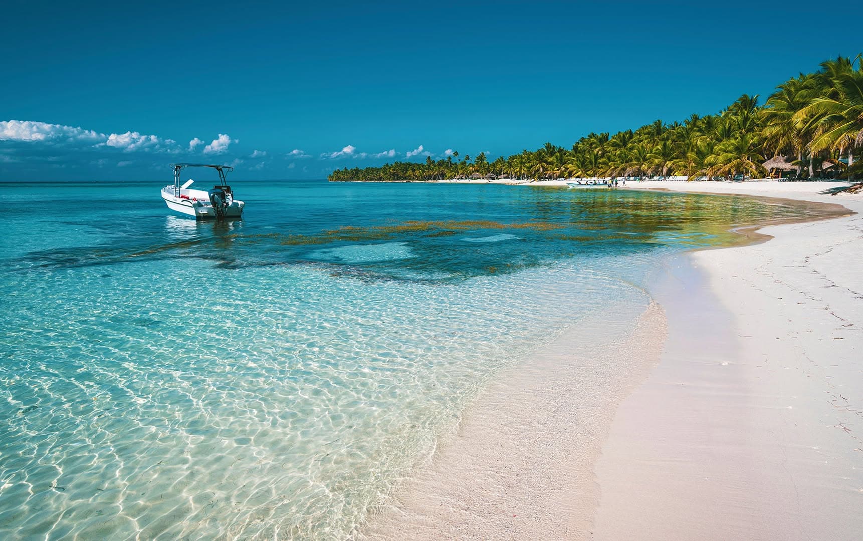 Santo Domingo: Los Haitises & Cayo Levantado Island - Photo 2 (Gallery view)