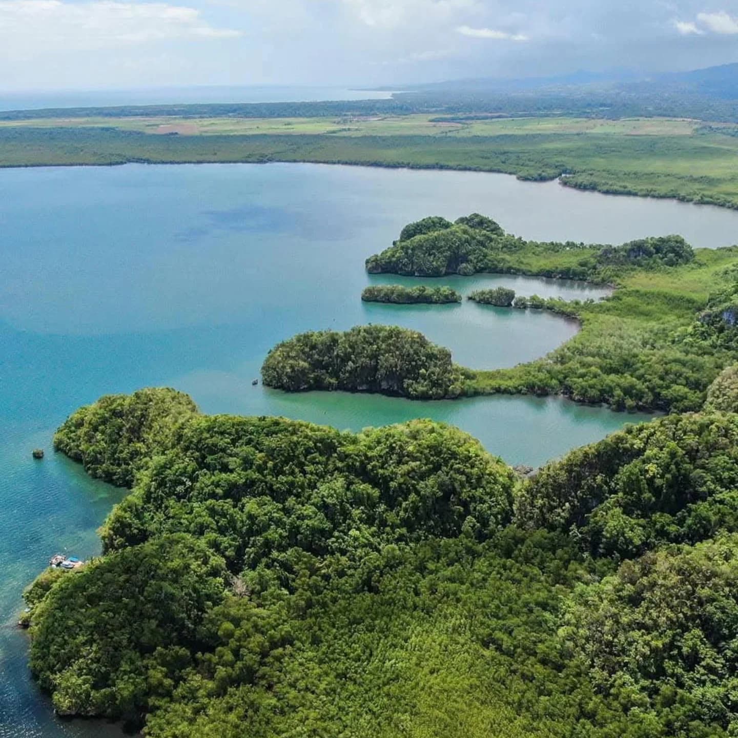 Los Haitises National Park: Private Boat Tour from Caño - Photo 3 (Gallery view)