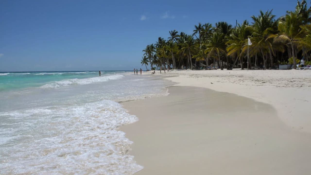Saona Island: Beach & Natural Pool Small-Group Tour w/ Lunch