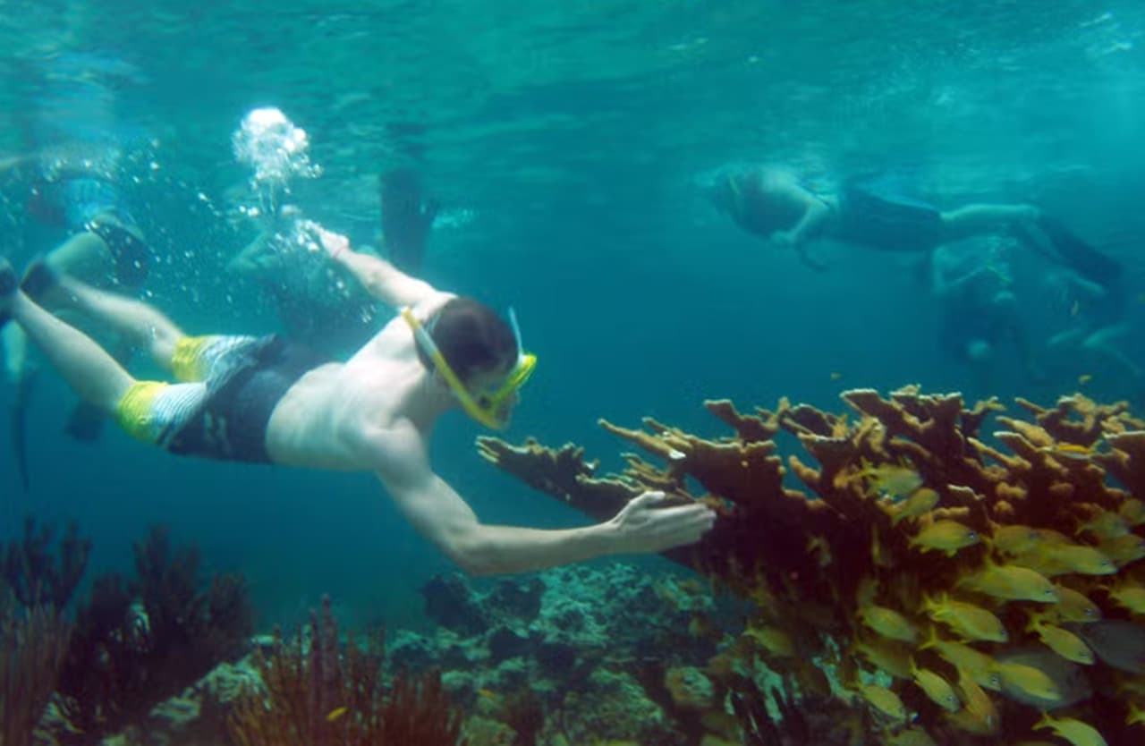 Snorkel in Santa Lucia Reef