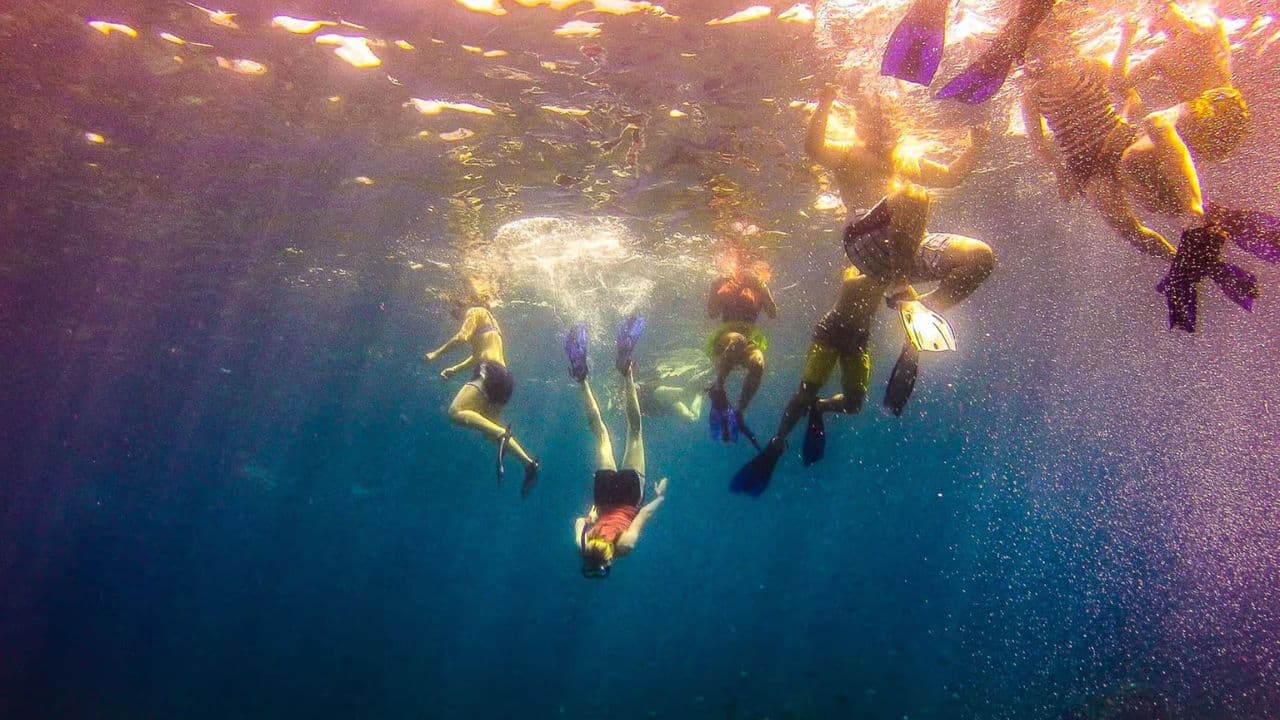 La Romana: Catalina Island Full-Day Snorkeling Tour