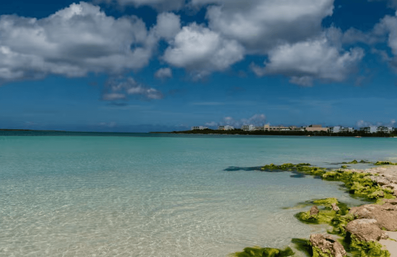 The Best of Cuba: 11-Day Tour