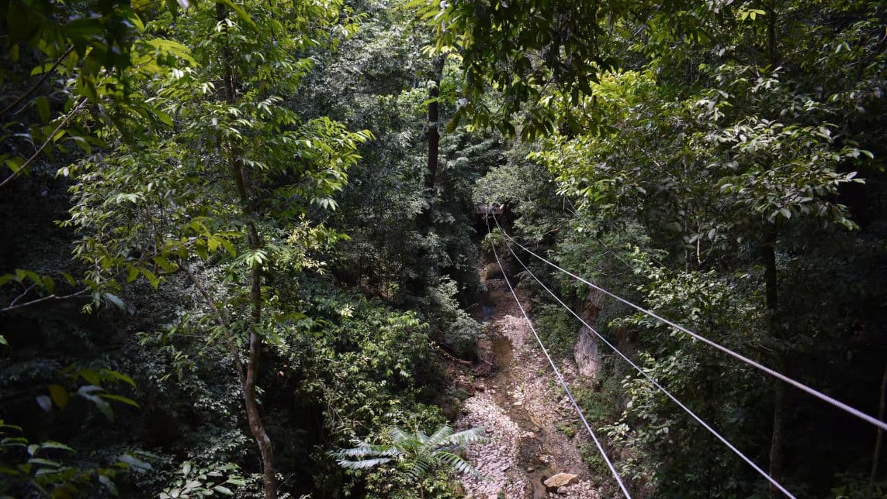 Puerto Plata: Waterfalls, Zip Line Adventure and Horse Ride