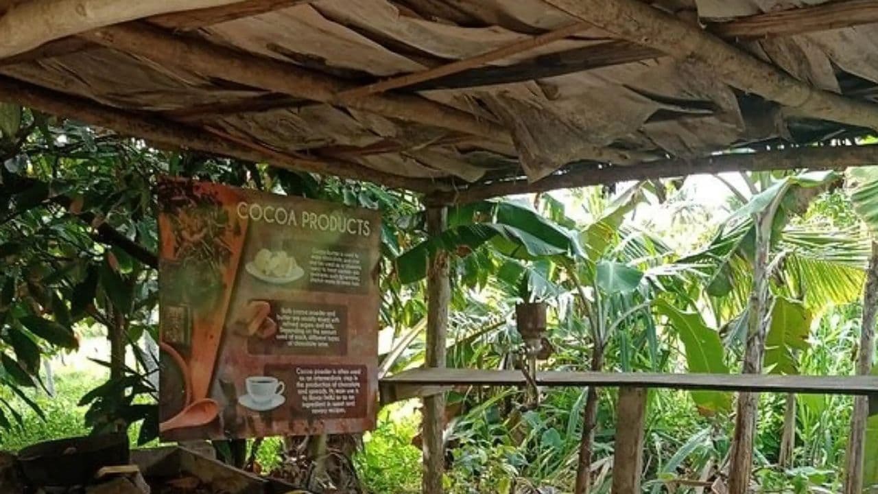Punta cana: 3 hour panoramic with artisan market small group - Photo 3 (Gallery view)