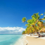 Całodniowa wycieczka na wyspę Saona z odbiorem z Twojego hotelu Punta Cana - Photo 4 (Gallery view)