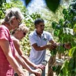 Full Day Cultural Tour in Dominican Republic - Photo 4 (Gallery view)