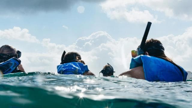 San Juan: Beginner Snorkeling Tour with Turtles and Videos