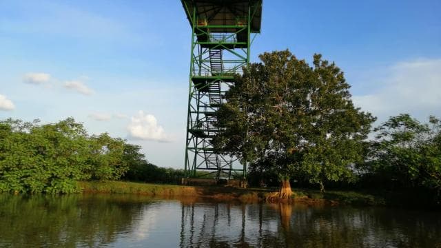 Caño Negro: Wildlife Discovery Tour