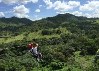 Privat: Punta Cana Jungle 12-Seil-Zipline-Abenteuer - Photo 3 (Gallery view)