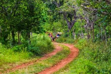 Flintstones Buggy, Cave and Adventure in Bavaro