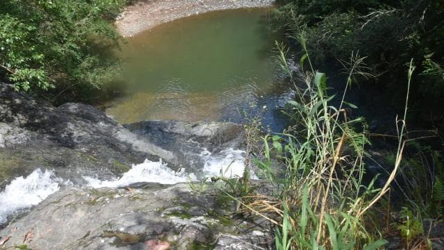 San Juan, PR: Hike to a Hidden Waterfall Adventure