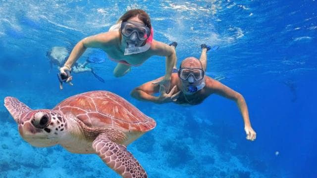 San Juan Snorkeling Tour with Roundtrip Transportation