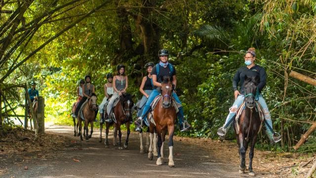 Carabalí Rainforest Park: Rainforest Horseback Riding Tour