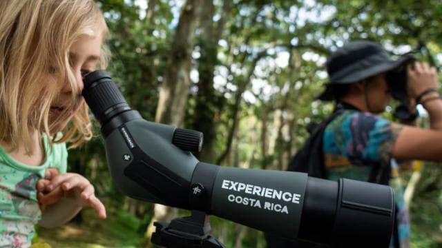 San Jose: Walking Nature Tour with Sloths, Birds, and Trees - Dominican Republic