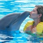 Punta Cana: Swim with Dolphins in the Pool