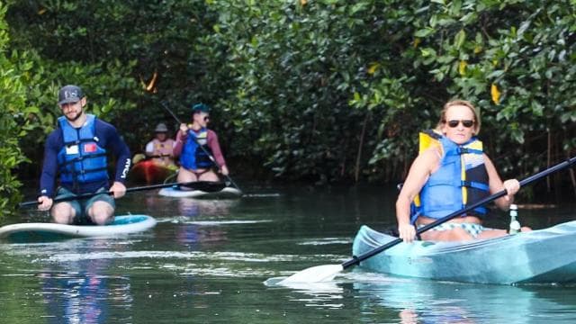Nosara: Rio Montana Mangrove SUP or Kayak Tour