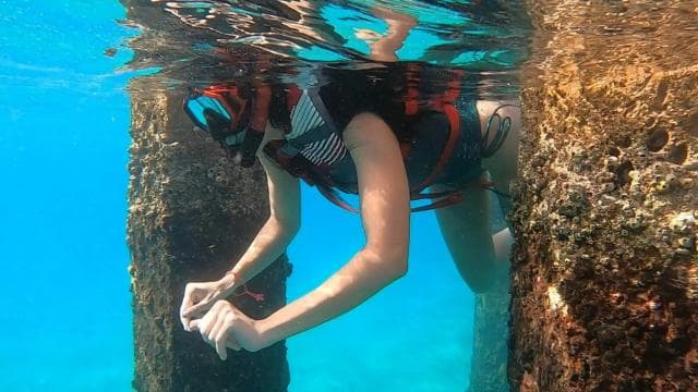 San Juan: Snorkeling with Turtles Adventure and Free Videos