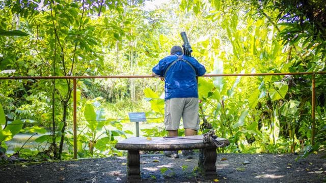 La Fortuna: Sloth Tour in Arenal Volcano Park & Local Snack