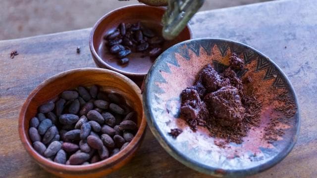 La Fortuna: Chocolate-Making Experience with Tastings