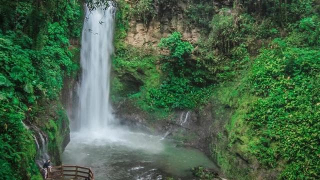 La Paz Waterfall and Cinchona Tour