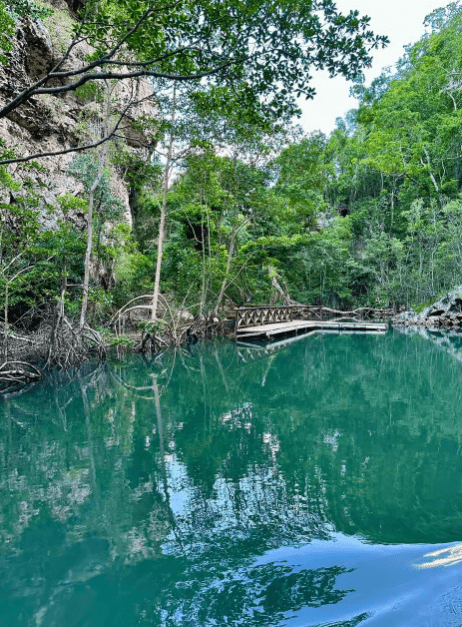 Punta Cana: 3-in-1 Adventure Haitises Park Waterfall Montaña - Dominican Republic
