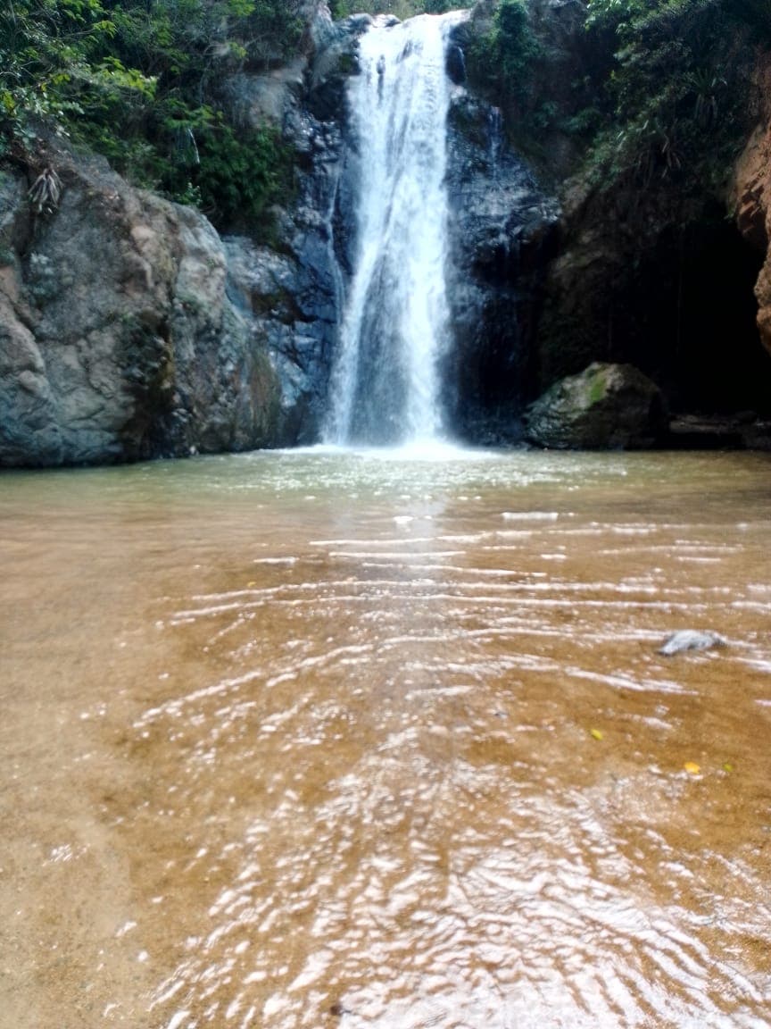 Jarabacoa: Horseride Excursion to Salto Baiguate Waterfall