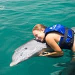 Swim with Dolphins in Punta Cana - Photo 3 (Gallery view)