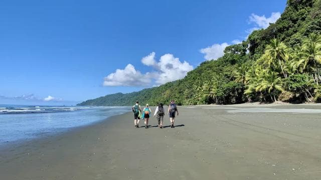 Quepos: Half-Day Rainforest Adventure & Zipline