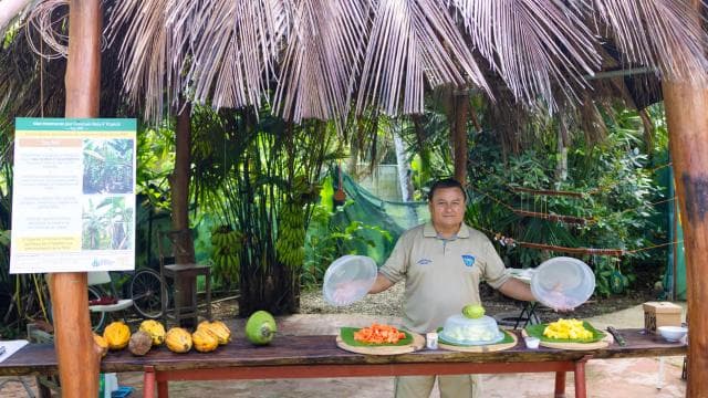 Puerto Limón: Tortuguero, Maratopia, Cahuita, banana plantation, and much more: tour