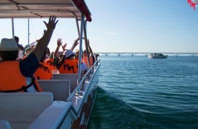 Samana: Cayo Levantado Day Trip by Boat - Photo 5 (Gallery view)