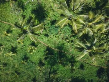 Sabana de la Mar: Los Haitises Guided Hike and Kayaking - Dominican Republic