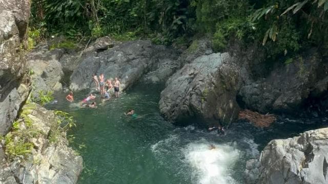 Authentic El Yunque Rainforest Adventure Waterfalls & Slides