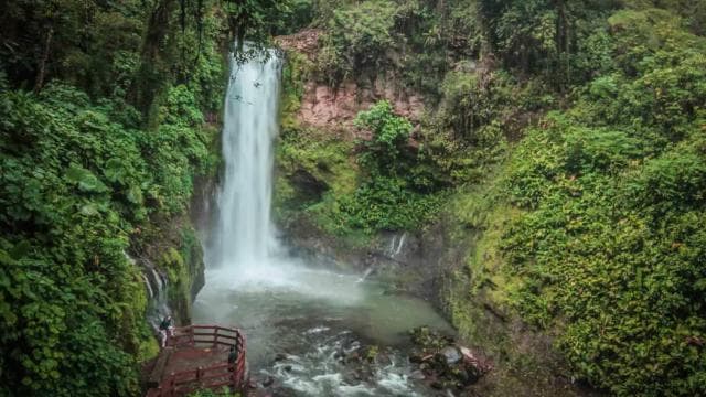 San José: La Paz Waterfall Gardens Half-Day Tour
