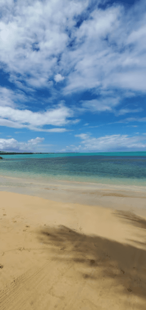 From San Juan: El Yunque Rainforest & Luquillo Beach Tour - Photo 4 (Gallery view)