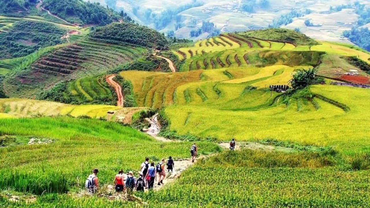 Eco Tour Finder