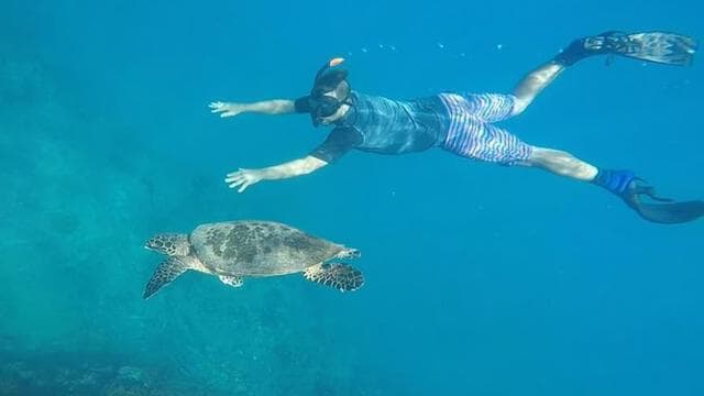 Drake Bay: Snorkeling Tour in Caño Island with Lunch