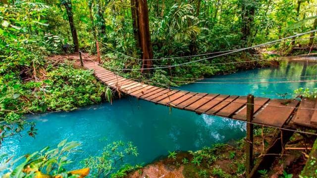 Rio Celeste Waterfall and Sloth Hike with Lunch