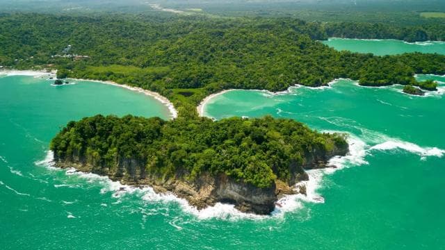 Manuel Antonio National Park: Guided Tour with ENTRANCE INCLUDED