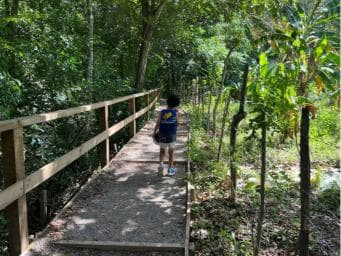 Damajagua Waterfalls Private Tour with Lunch - Photo 2 (Gallery view)