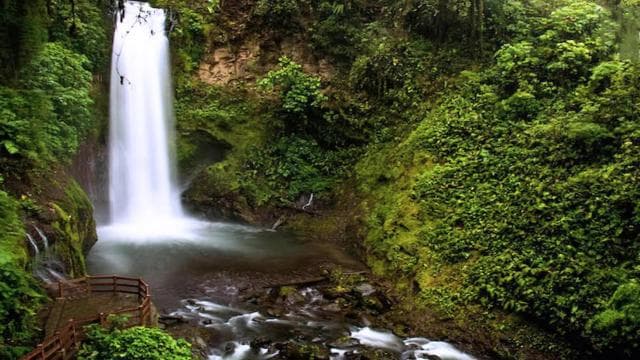 La Paz Waterfall Gardens Day Pass Ticket