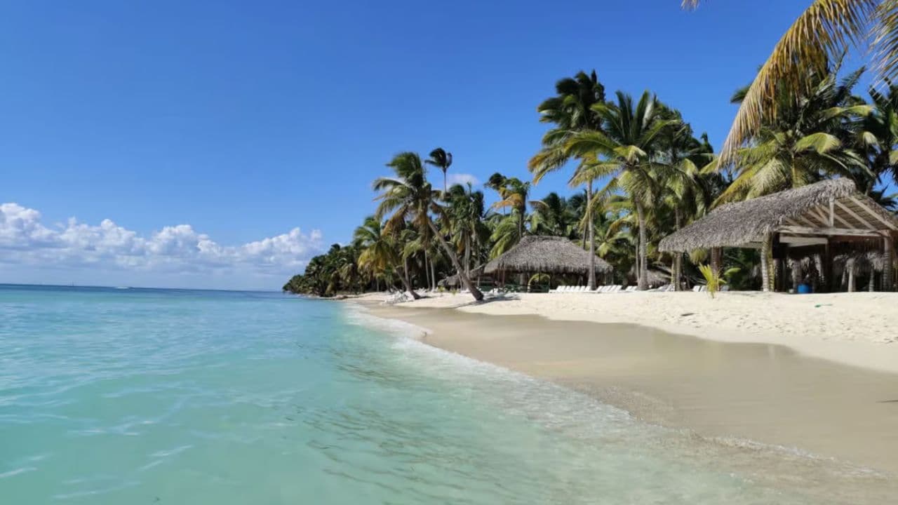 Aventura Eksotik nan Isla Saona: Paraiso en la Piscina Natural - Photo 4 (Gallery view)