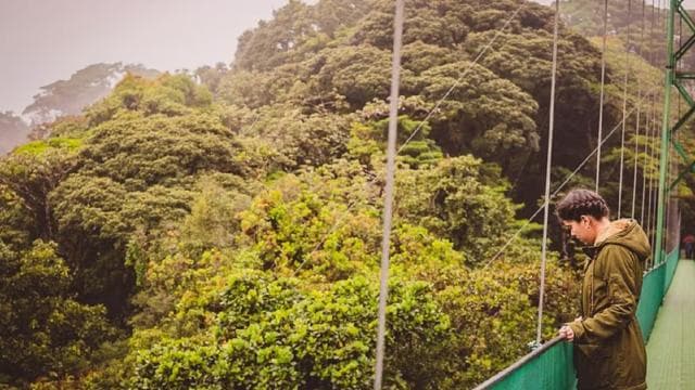 From Monteverde: Monteverde Suspension Bridge Guided Hike