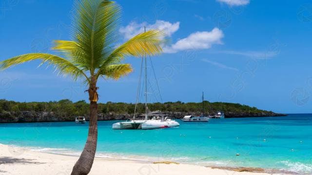 Punta Cana: Scuba Diving Catalina Island Cruise with Lunch