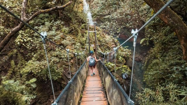 Rio Negro Hot Springs & Oropendola Waterfall Combo & Lunch