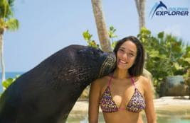Punta Cana: Dolphin Park Entry and Swim with Dolphins