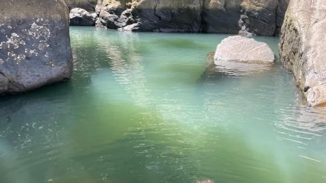 El Yunque: Hidden Off The Path Waterfall Hike w/ Transport