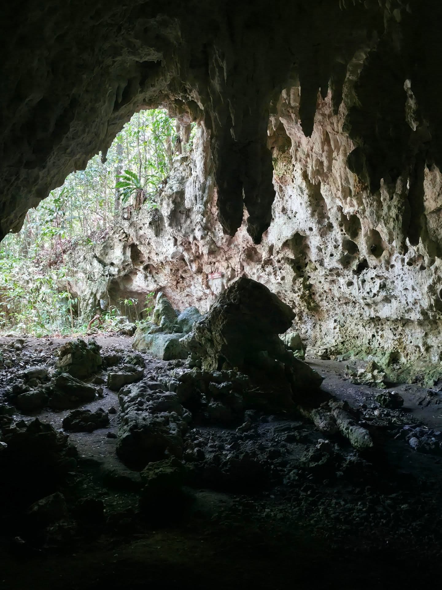 Los Haitises Sunset Kayak & Caves Tour from Samana (with Snacks & Wine) - Photo 2 (Gallery view)