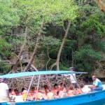 Z Punta Cana: Los Haitises a Redonda Mountain Day Trip - Photo 4 (Gallery view)